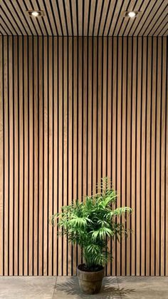 a potted plant sitting in front of a wall with vertical lines on the walls