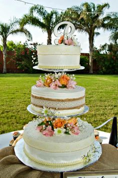 a three tiered cake sitting on top of a table in front of a lush green field