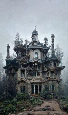 an old abandoned house in the woods with lots of trees and bushes on top of it