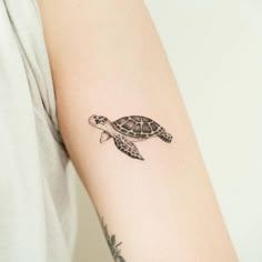 a small turtle tattoo on the arm