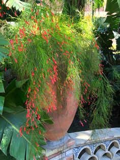 a large potted plant with red flowers on it