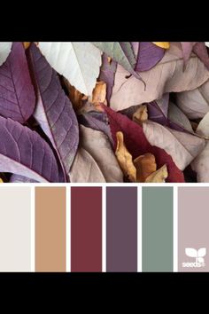 the color scheme for autumn is brown, green, and purple