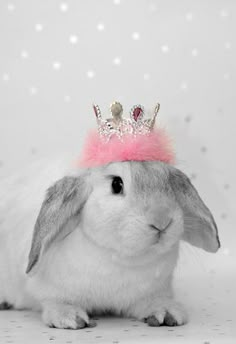 a rabbit with a pink crown on it's head and the words keep calm and hop on