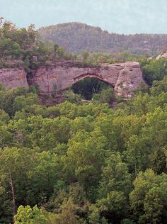 an old stone arch in the middle of a forest filled with lots of green trees