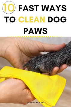 a person holding a dog's paw with the words 10 fast ways to clean dog paws