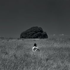 a person sitting in the middle of a field with a tree in the back ground