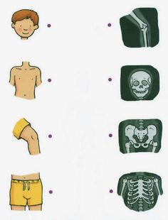 the different types of human body parts are shown in this diagram, and there is no image on it