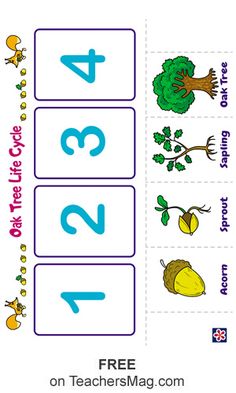 the printable worksheet for learning numbers and counting to 10 with pictures on it