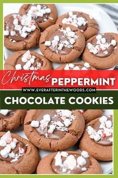 christmas peppermint chocolate cookies with marshmallows in the middle and on top