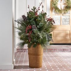 a potted plant with pine cones, berries and greenery in front of a door