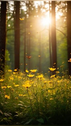 the sun shines brightly through the trees and flowers in the forest with butterflies flying over them