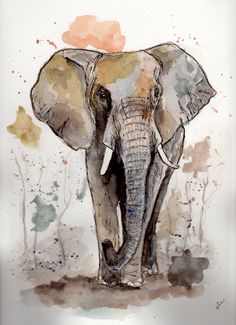 an elephant painted with watercolors on paper