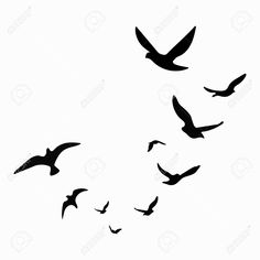 a flock of birds flying in the sky silhouetted against a white background stock photo