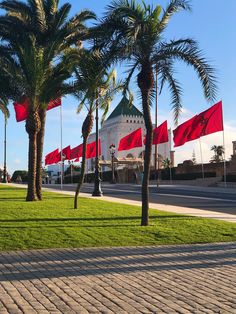 palm trees with red flags in front of a large white building on a sunny day