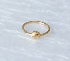 Gold dainty seashell ring. Material is gold plated over stainless steel. One Size - around size 6. Seashell Ring, Dainty Chain Necklace, Small Necklace, Shell Ring, Gem Ring, Wire Wrapped Rings, Glass Beaded Bracelets, Seed Bead Bracelets, Cute Rings