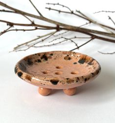 a small ceramic bowl sitting on top of a wooden table next to branches and twigs