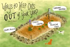 an illustrated drawing of a fenced in area with cats and dogs around it, saying'ways to keep cats out of your yard '