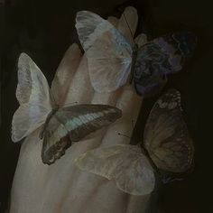 three butterflies are sitting on the palm of a person's hand, which is covered in white fabric