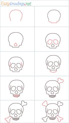 how to draw a skull with different angles and colors for children's art projects