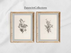 two framed pictures with flowers in them on a white sheet that says,'danon art collections '