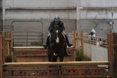 a man riding on the back of a brown horse jumping over a wooden obstacle in an arena