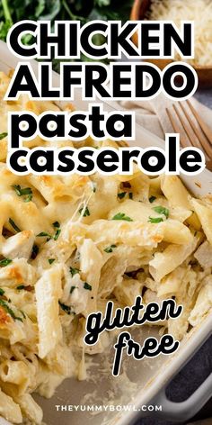 chicken alfredo pasta casserole with parmesan cheese and herbs in the background