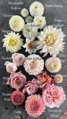 an arrangement of flowers with names in english