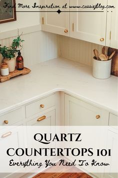 a kitchen counter top with the words quartz countertops 101 everything you need to know