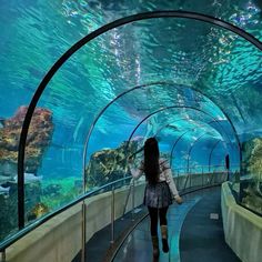 a woman is walking through an aquarium tunnel