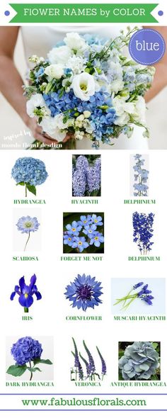 blue and white flowers are arranged in the shape of an image with text that reads, flower names by color