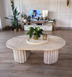 a table with two plants on it in front of a tv