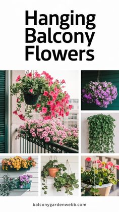 hanging balcony flowers with text overlay