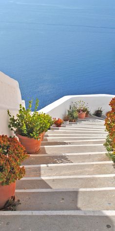 there are many potted plants on the steps leading up to the water's edge