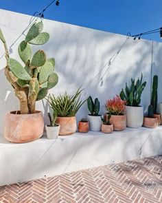 there are many potted plants on the ledge outside in front of a wall with string lights