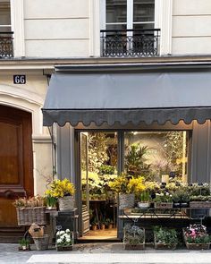 a flower shop with lots of potted plants in front of the store's entrance