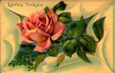 a pink rose with green leaves is on a white card that says loves token,