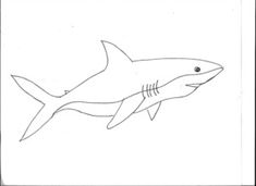 a drawing of a shark on a white background