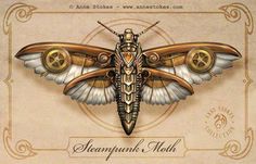 a card with an image of a moth on it's back and the words, shan