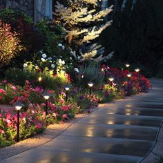 a garden with flowers and lights in it