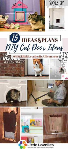 Cat Door Through Wall, Creative Cat Door Ideas, Pet Door Ideas Cats, Renter Friendly Cat Door, Diy Cat Door Flap, Diy Window Catio Ideas For Cats, Cat Door Ideas Exterior, Diy Cat Door In Door, Cat Door In Door