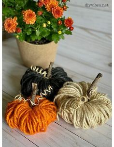 three yarn pumpkins sitting next to a potted plant