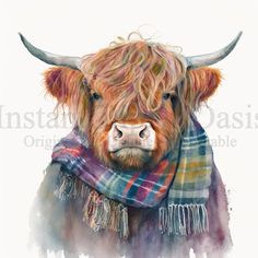 a watercolor painting of a highland cow wearing a scarf