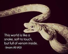 a snake with its mouth open and the words, this world is like a snake, soft to touch, but full of venn inside