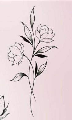 a drawing of some flowers on a white wall with black lines in the middle and bottom