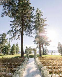 an outdoor ceremony setup with rows of wooden chairs and white flowers on the aisle, surrounded by tall pine trees