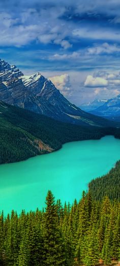 a beautiful blue lake surrounded by mountains and trees in the foreground with snow capped peaks