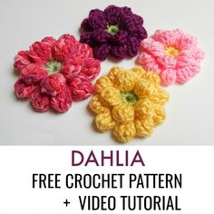 three crochet flowers with the text dahla free crochet pattern and video