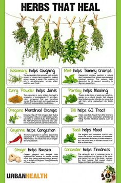 Herbs That Heal Poster Herbs And Spices Health Benefits, Herbs Health Benefits, Healing With Herbs, Herbs That Heal, Healing Herbs And Spices, Herb Uses Medicine, How To Soothe A Sore Throat, Herbs And Their Uses Witchcraft, How To Heal Your Gut