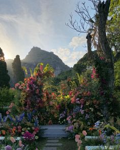 the garden is full of colorful flowers and greenery, with mountains in the background