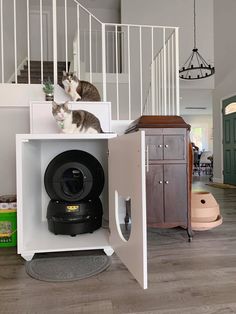 a cat sitting on top of a shelf next to a camera in front of stairs